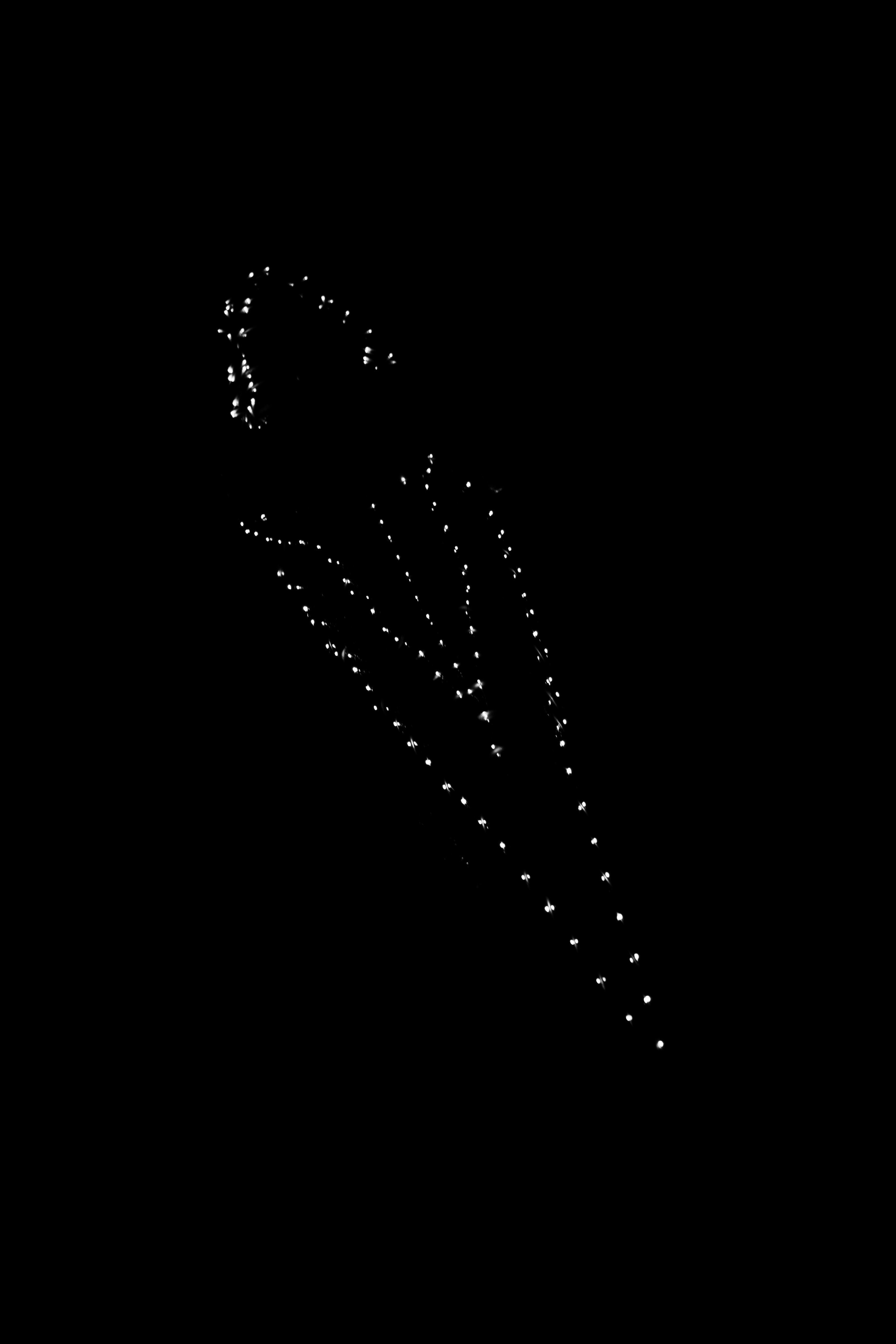 Fénykajak 2025 - 14. Petrasfoto - sportfotó | Petrás Gergely, profi sportfotós